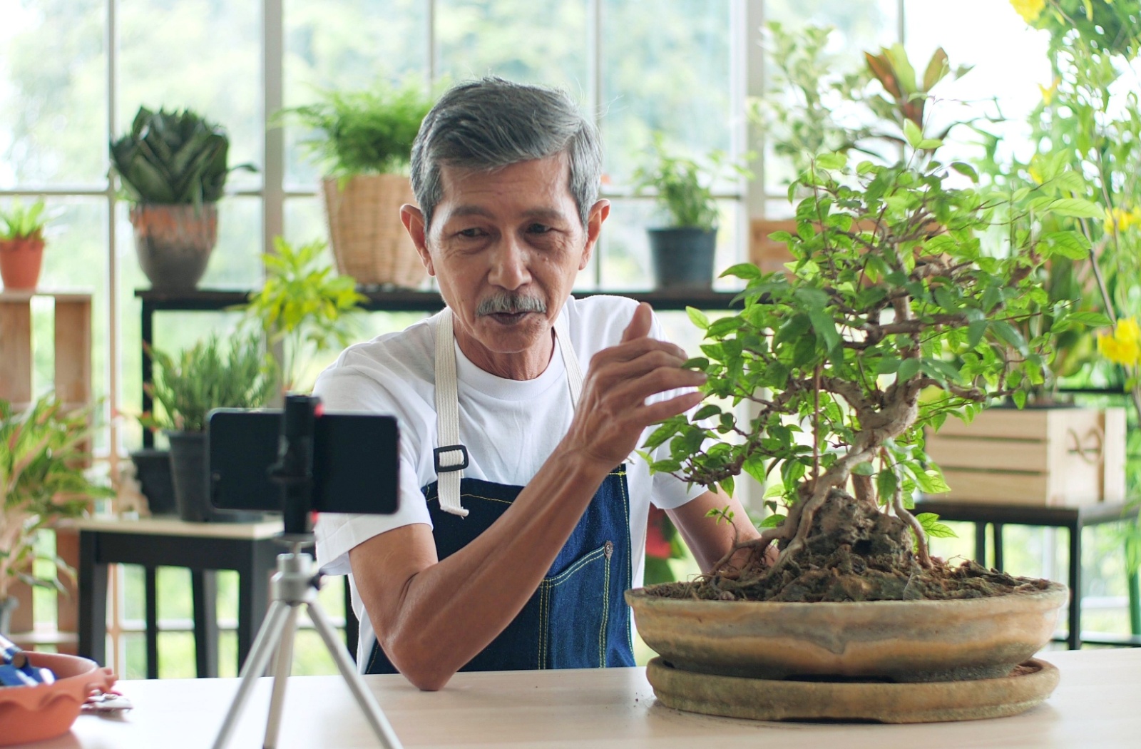 A senior uses a tripod setup for their phone to record video of their gardening hobby to post on social media